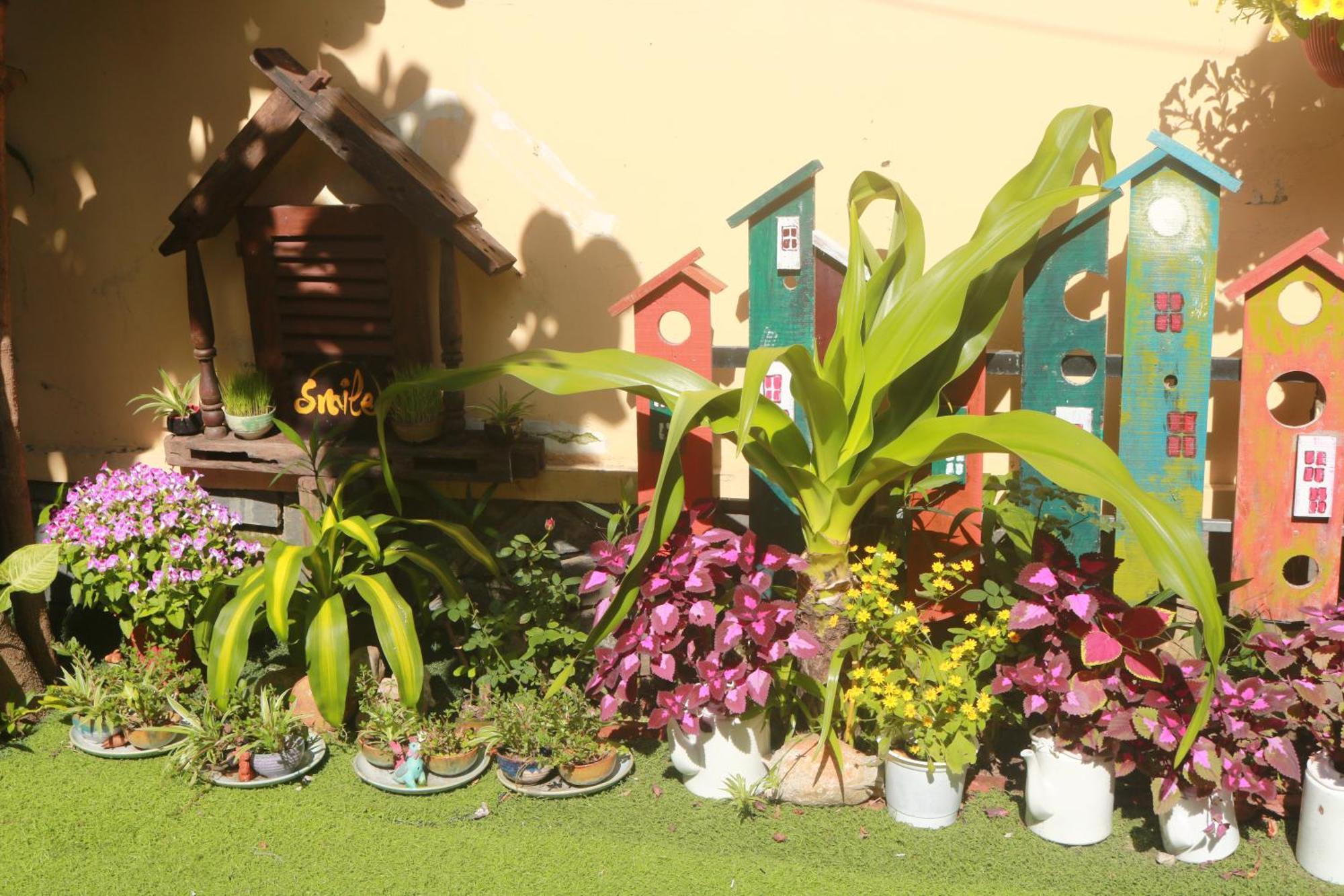 Loc Phat Hoi An Homestay Extérieur photo